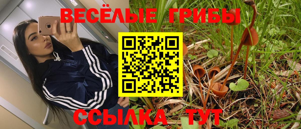 Галлюциногенные грибы Cubensis Тихорецк