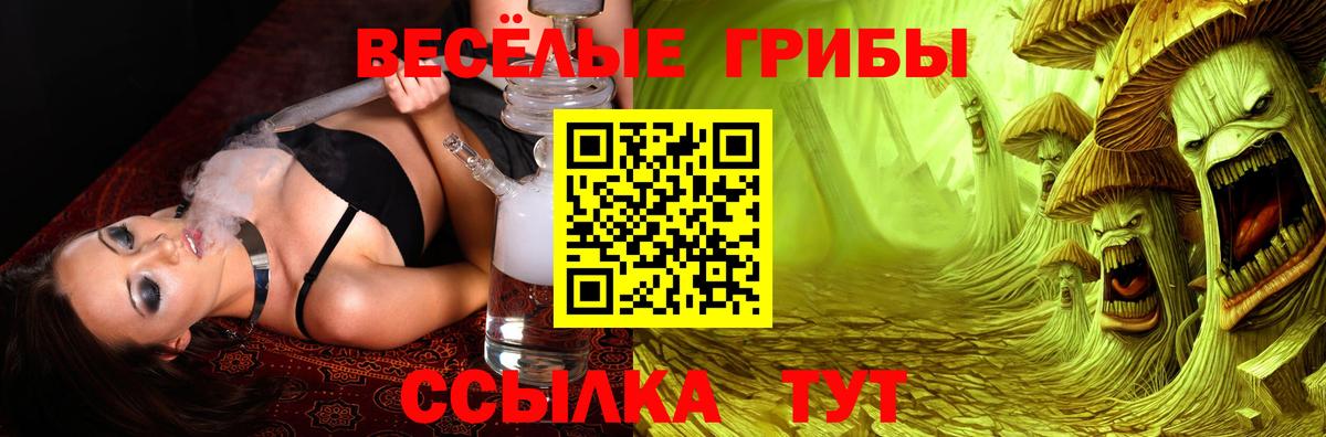 Тихорецк  Псилоцибиновые грибы Psilocybe  Вход с VPN  Псилоцибиновые грибы Magic Shrooms 